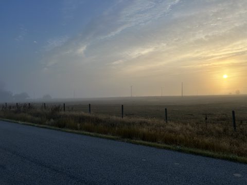 IMG_8026.jpeg