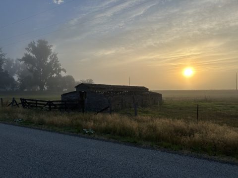 IMG_8029.jpeg