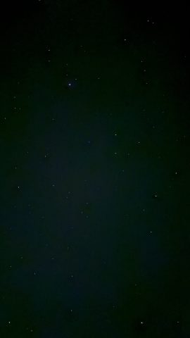 IMG_3890.jpeg