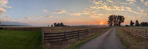 PXL_20260829_131455157.PANO.jpg